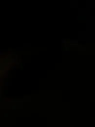 _FuckDaddy1_ — Stripchat stream photo (Feb 2026)