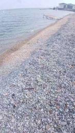 Coppietta74 — modelo de webcam en línea en cam4