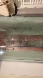 Velocissimo87 — Cam4 stream photo (Apr 2026)