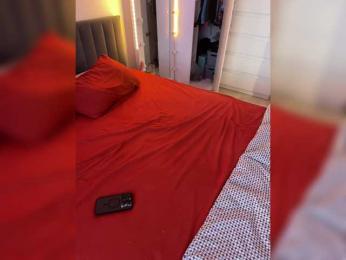 NikolaMil666 — Bongacams stream photo (Apr 2026)