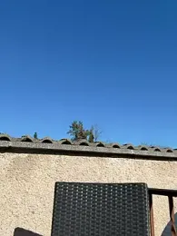 -OLYA- — Stripchat stream photo (Mar 2026)