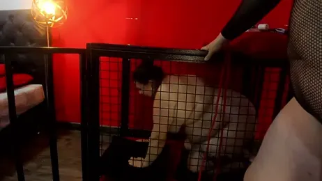 Lucia-Williams — Stripchat stream photo (Mar 2025)