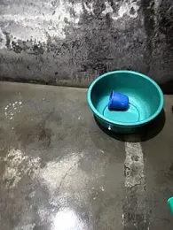 Sofisharma — Stripchat stream photo (Jun 2025)