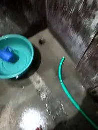 Sofisharma — stripchat