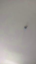 abel262 — modelo de webcam en línea en cam4