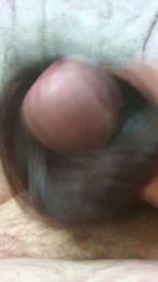 Pollitasucia — Cam4 stream photo (May 2026)