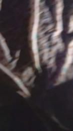 vale860 — modelo de webcam en línea en cam4