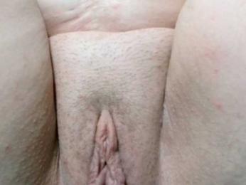 korolek50 — Bongacams stream photo (Apr 2026)