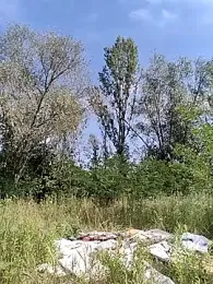 Szonek123 — stripchat