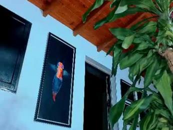 silvabranko — Chaturbate stream photo (Jul 2026)