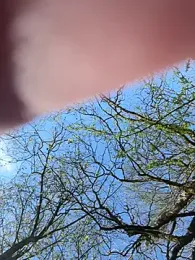 AvaFlowers6 — stripchat