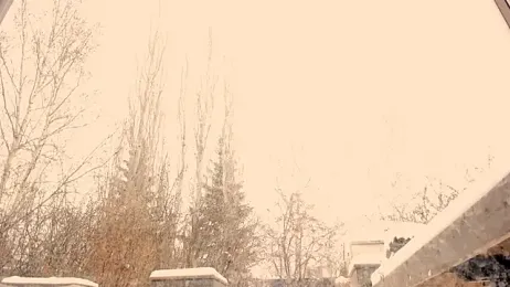ASStronaughtyx — Stripchat stream photo (Dec 2024)