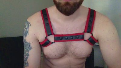 redbearded — Cam4 stream photo (Feb 2026)