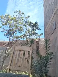 MX-SEX-FUN — Stripchat stream photo (Apr 2026)