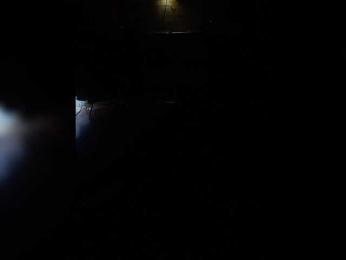 XbogdyX — Bongacams stream photo (Jan 2026)