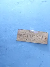 Bangladeshi_big — Stripchat stream photo (Mar 2026)