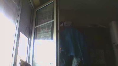 Mariobros607 — Cam4 stream photo (Mar 2026)