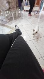 Monella52 — Cam4 stream photo (Feb 2026)