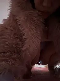 wy2026 — Stripchat stream photo (Feb 2026)