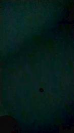 romerin20 — Cam4 profile photo