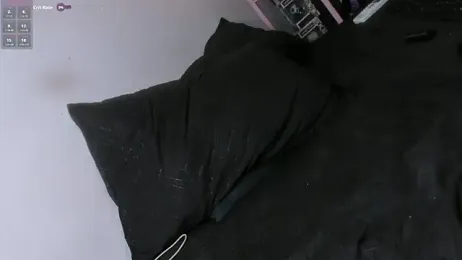 transilbriana — modelo de webcam en línea en stripchat