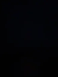 exotic__couple — Stripchat stream photo (Feb 2026)