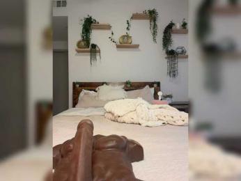 StonyPony — Bongacams stream photo (Jul 2026)