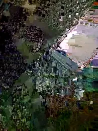 youngcreators — stripchat