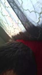 thisstraightbo1 — Cam4 stream photo (Apr 2026)