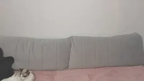 VikiSea — Stripchat stream photo (Nov 2025)