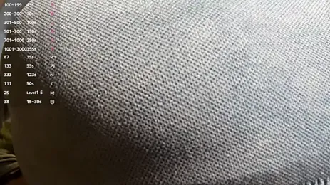 RadialTalc — Stripchat stream photo (Sep 2026)