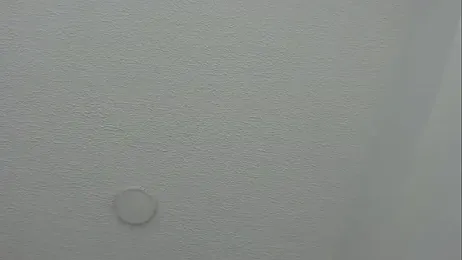 connor_and_angel — Stripchat stream photo (Feb 2026)