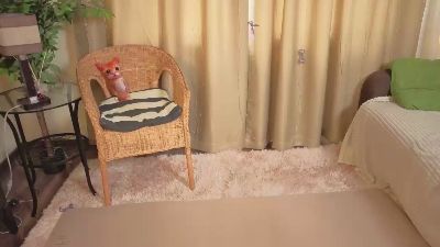 CicelySmeja — Cam4 stream photo (May 2026)