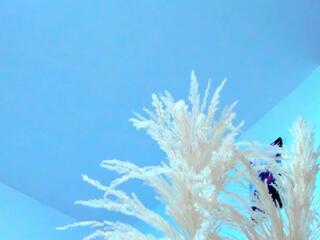 Tayler Swift — Flirt4free stream photo (Feb 2026)