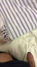 Solitario866 — Cam4 stream photo (May 2026)