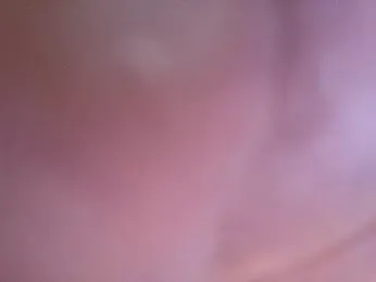 muscle_mouse — Stripchat stream photo (Feb 2026)