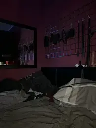 zickertdavid — Stripchat stream photo (Mar 2026)