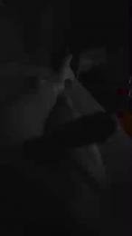 Diegocucciolo — Cam4 stream photo (Jun 2026)