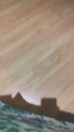 pollon531 — Cam4 stream photo (Sep 2026)