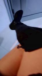 Tania__honey — Cam4 stream photo (Mar 2026)