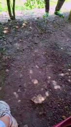 Tania__honey — Cam4 stream photo (Mar 2026)