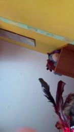 Panterona05 — modelo de webcam en línea en cam4
