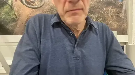 tauromolo — Stripchat stream photo (Feb 2026)