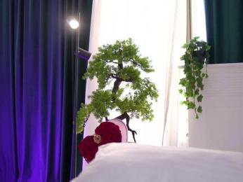 ArtTeasee — modelo de webcam en línea en bongacams