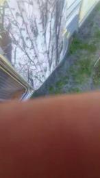 raini1205 — Cam4 stream photo (May 2026)