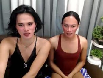shasha_ishere — modelo de webcam en línea en chaturbate