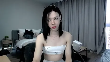 Dasha_WEYT — modelo de webcam en línea en stripchat