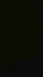 milferotika — Cam4 stream photo (Apr 2026)