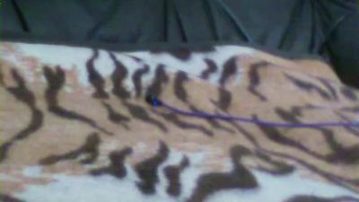 MucSuesser — Cam4 stream photo (Apr 2026)