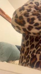 rentme06 — Cam4 stream photo (Apr 2026)